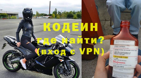 молекула духа Билибино