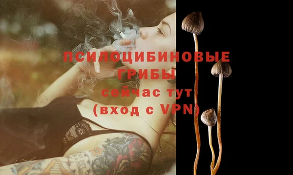 марки lsd Белая Холуница