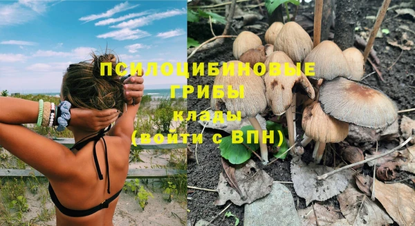 сатива Бежецк
