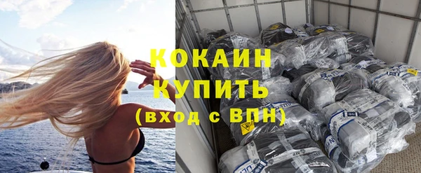 сатива Бежецк