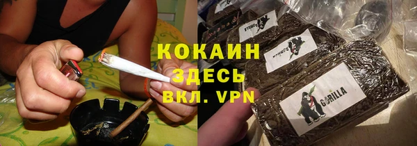ALPHA PVP Бикин