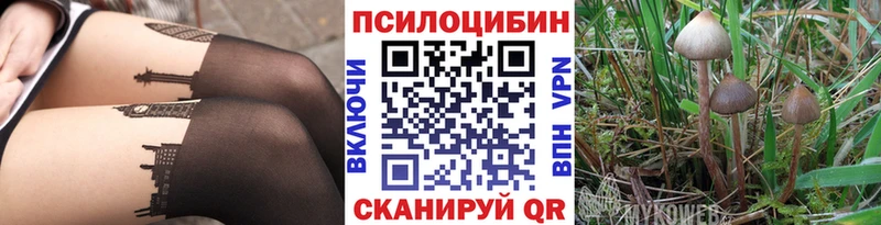 blacksprut ссылки  Зеленодольск  Псилоцибиновые грибы GOLDEN TEACHER 