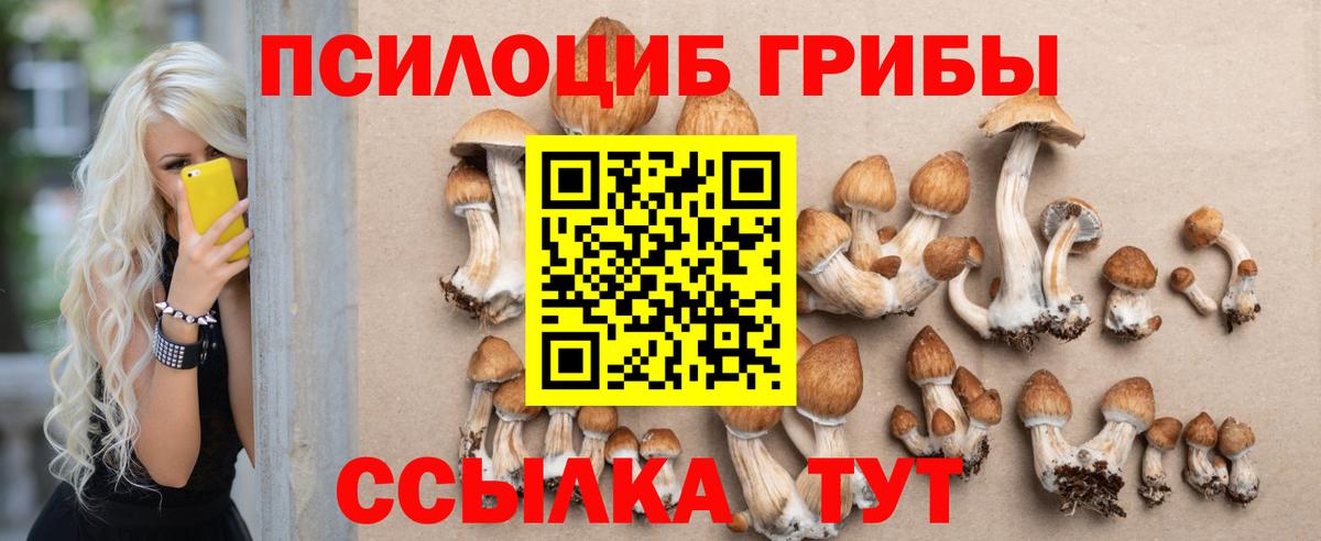 Псилоцибиновые грибы Cubensis  хочу наркоту  Зеленодольск  Вход с VPN 
